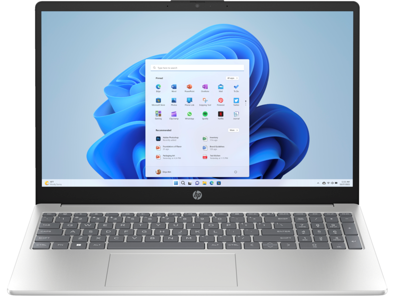 HP 15 FD0109TU Intel Core 3 N305 8GB 512GB SSD 15.6 HD Win11 Natural Silver - (Official Warranty)